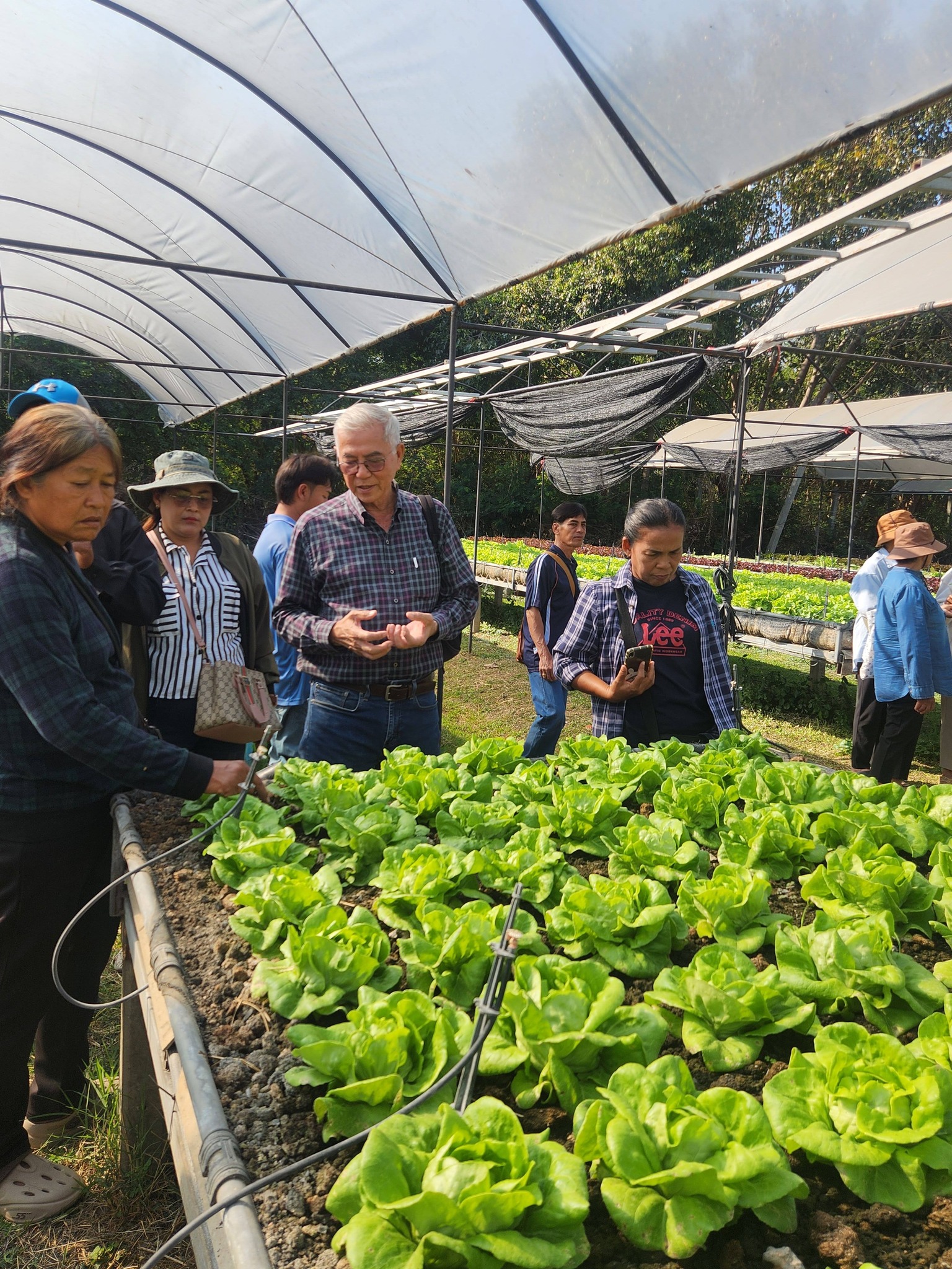 title - จัดฝึกอบรมโครงการที่ดินพระราชทานในเขตปฏิรูปที่ดินจังหวัดปทุมธานี ประจำปีงบประมาณ พ.ศ 2569 